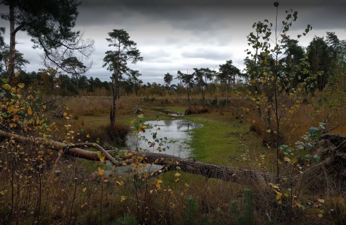 images/omgeving/omgeving200.jpg