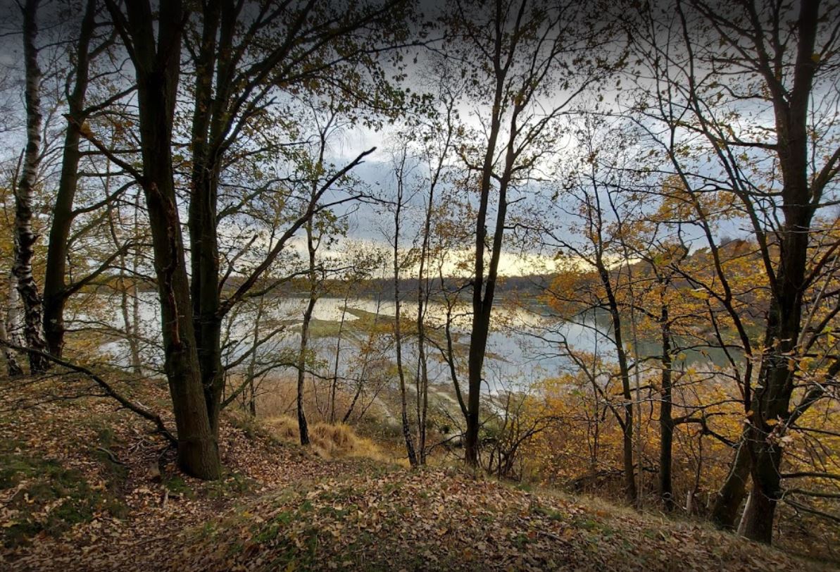 images/omgeving/omgeving201.jpg
