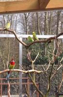 images/tuin/010.jpg