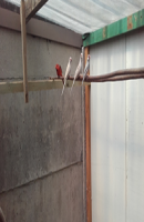 images/tuin/tuin.png