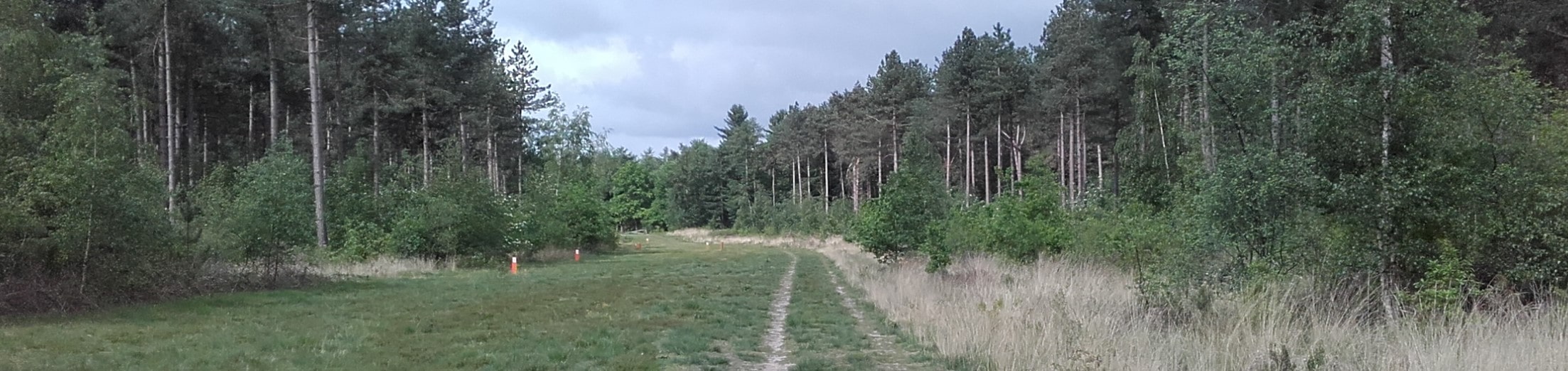 wandeltochten blakheide